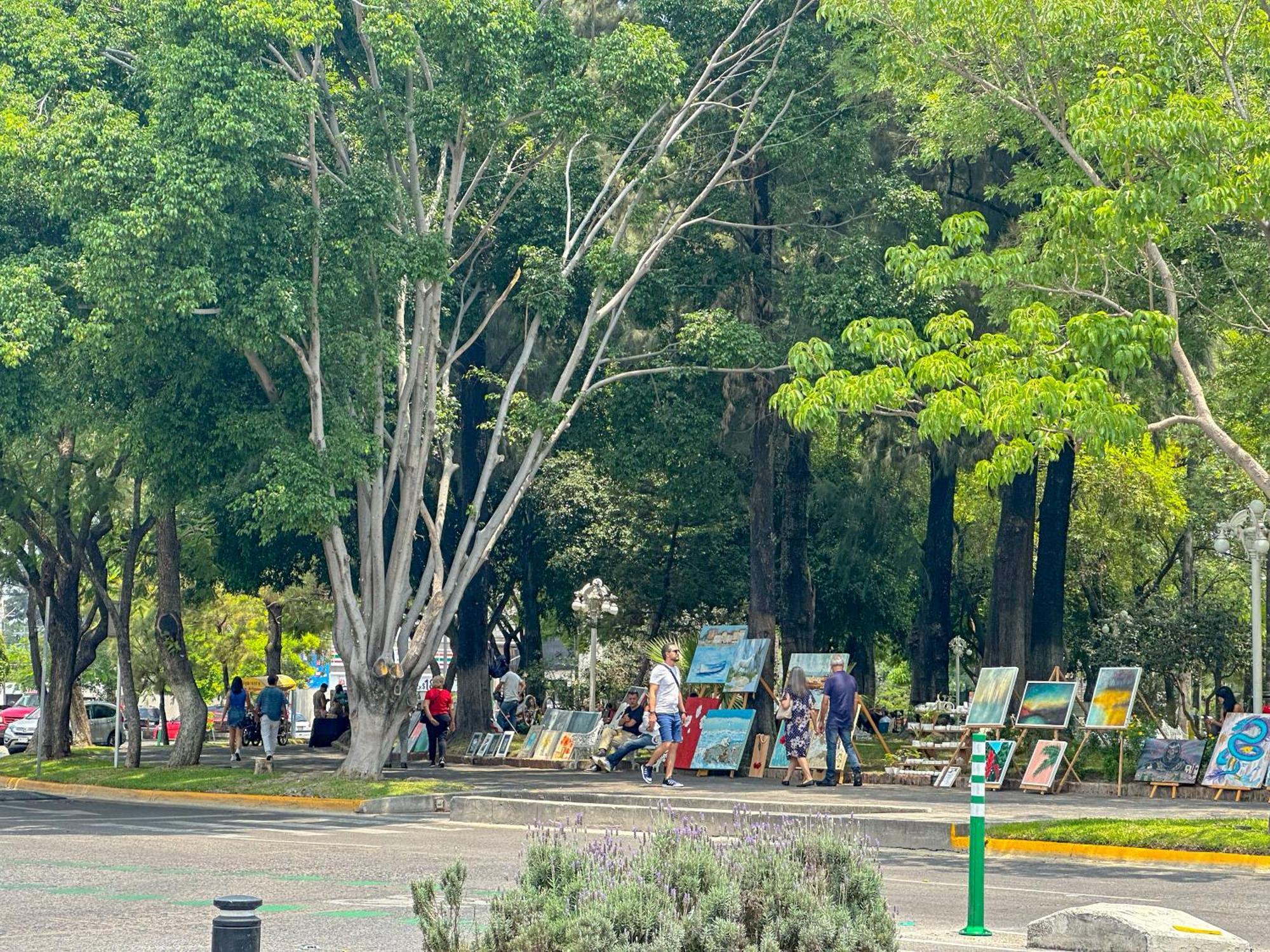 Estudio En Chapalita Estilo Y Confort Total 03 Guadalajara Zewnętrze zdjęcie